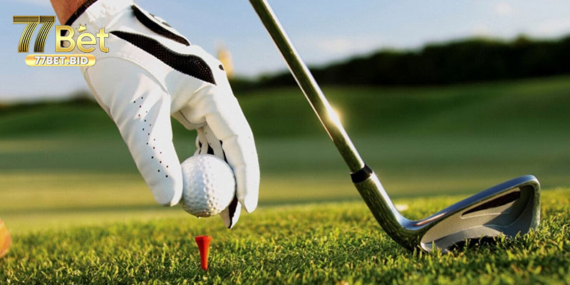 Có những loại cá cược golf nào